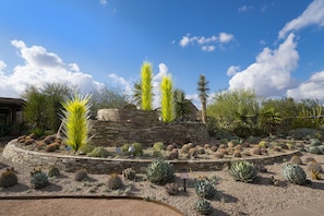 Stunning garden with desert plants, including agave and yucca, arranged in a circular stone border.