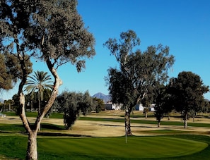 Enjoy a round of golf on our well-maintained course surrounded by lush green fairways and a variety of trees.