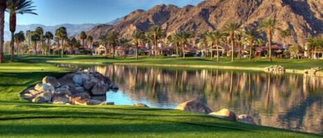 Apartment, 1 Bedroom | Golf