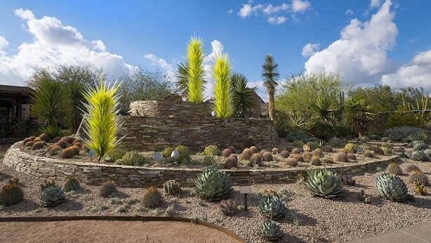 A desert garden with various cacti and succulents, a stone wall, and a clear blue sky. - 111 Fully Furnished 1BR Suite-Prime Location! by RedAwning (Scottsdale)