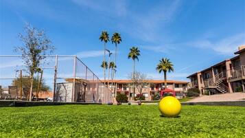 House | Property grounds