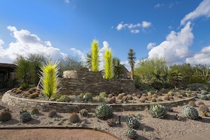 Stunning desert garden with a variety of cacti and succulents arranged in a circular border.
