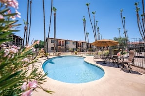 Relax by the pool surrounded by palm trees and comfortable outdoor furniture.