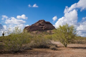 Apartment, 1 Bedroom | Property grounds - 146 Fully Furnished 1BR Suite-Pet Friendly! by RedAwning (Scottsdale)