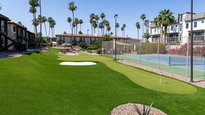 Ein Golfplatz mit Putting Green, umgeben von Palmen und Wohnhäusern.