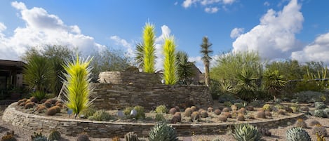 Área da propriedade