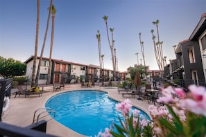 Apartment, 1 Bedroom | Pool | A heated pool