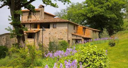 Villa Grassina Quadrilocale sleeps 8, WIFI, pool, Nature