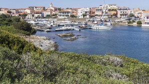 Una marina con barcos amarrados, una costa rocosa y edificios al fondo.