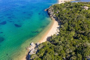 Vue aérienne d’une zone côtière avec une plage dégagée, une végétation luxuriante et des affleurements rocheux.