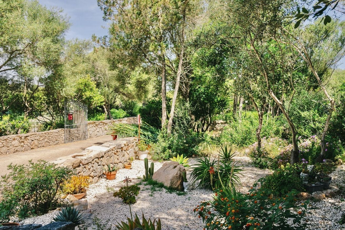 Terrein van de accommodatie