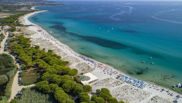 An aerial view of a coastal area with a beach, parked cars, and a row of trees.