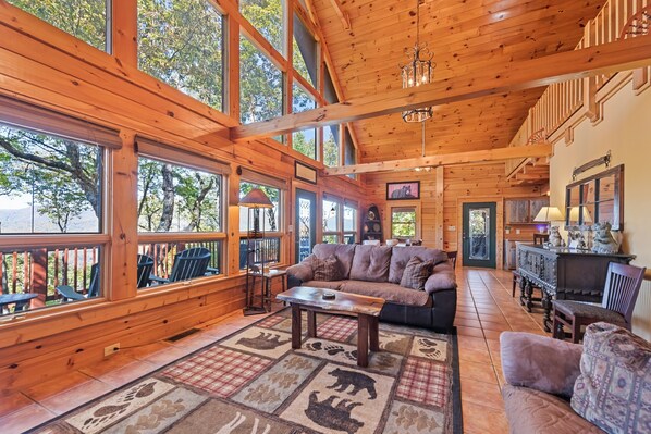 TV, fireplace, DVD player, books