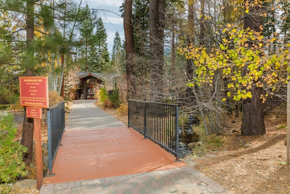 A pathway leading to a rustic cabin in a forested area with a signboard indicating rules.