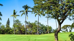 Een golfbaan met een golfkarretje, palmbomen en een grote boom op de voorgrond.