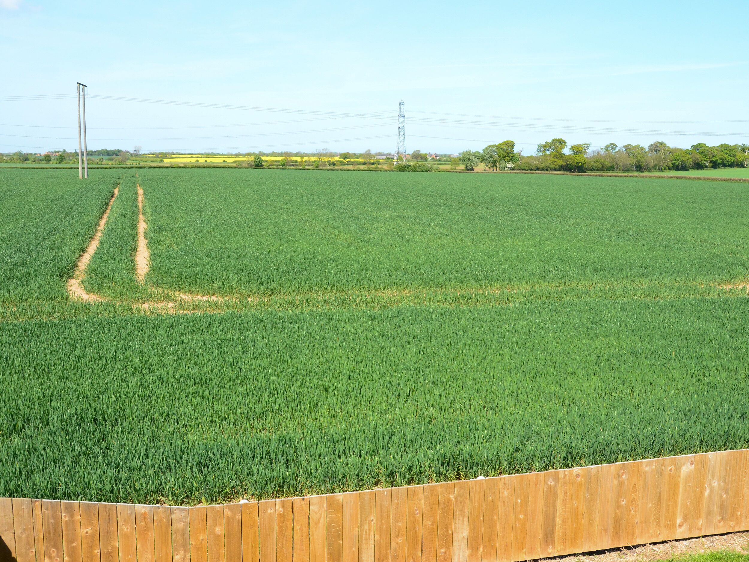 A vast green field with a wooden fence in the foreground.