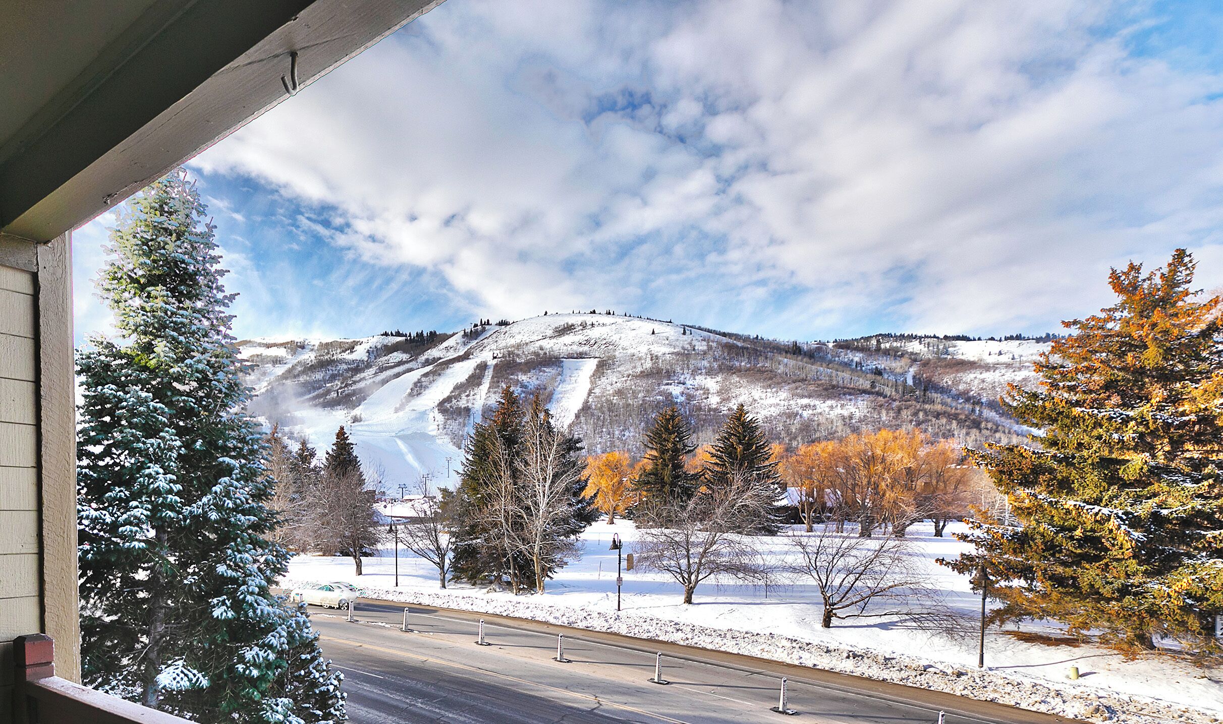 A snowy landscape with a road, trees, and a mountain.