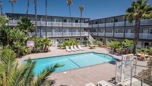 Un hotel con piscina circondata da palme e sdraio.