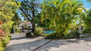 Área residencial com piscina, rodeada por vegetação exuberante e um caminho pavimentado.