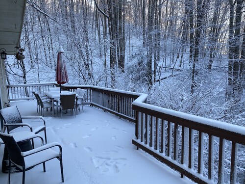 Asheville's Best Mountain Retreat-5 mile. Downtown! Pet Friendly,Nice Spa & Deck
