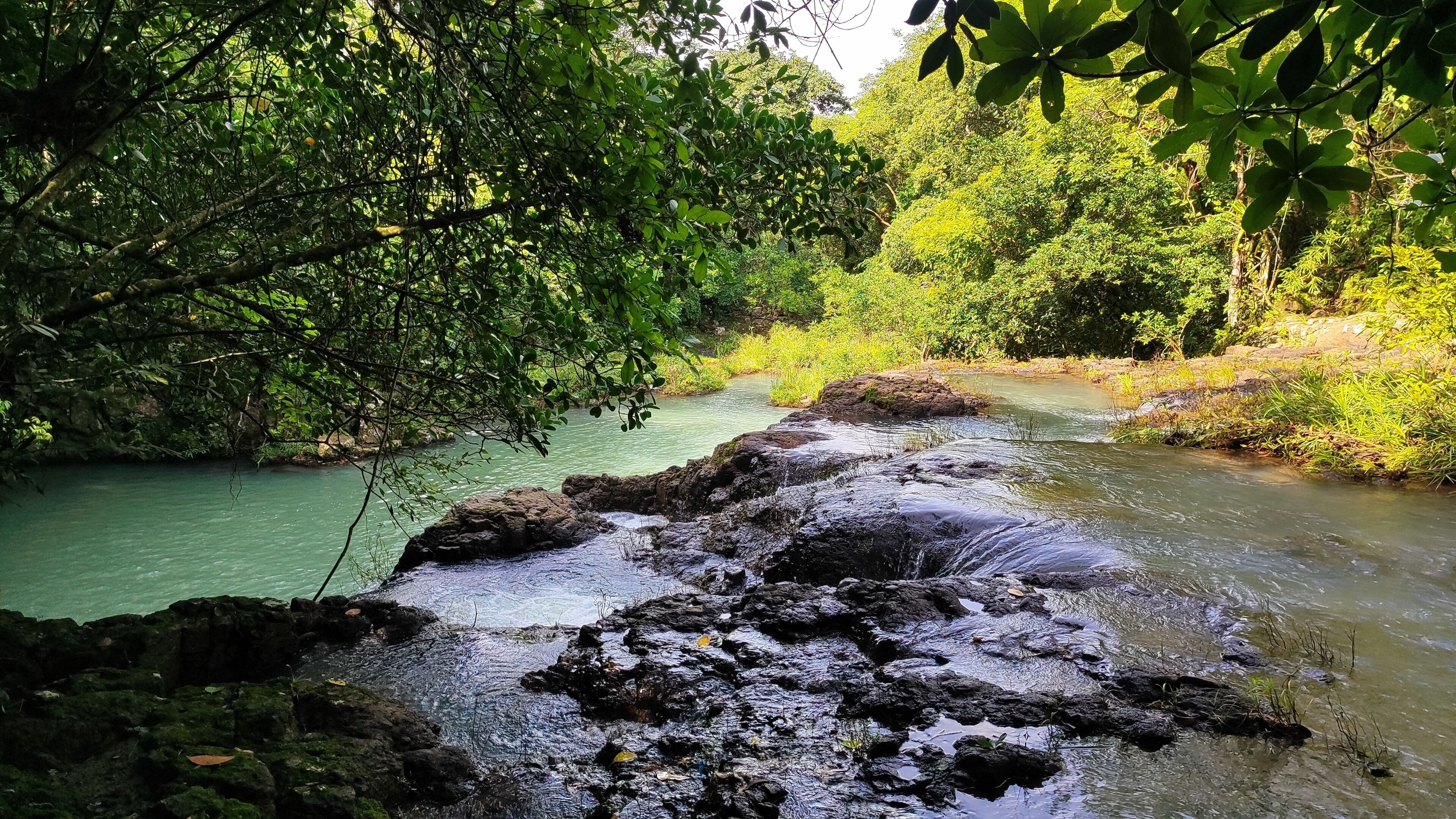 Photo - Las Catalinas Ecológicas (El Maizal)