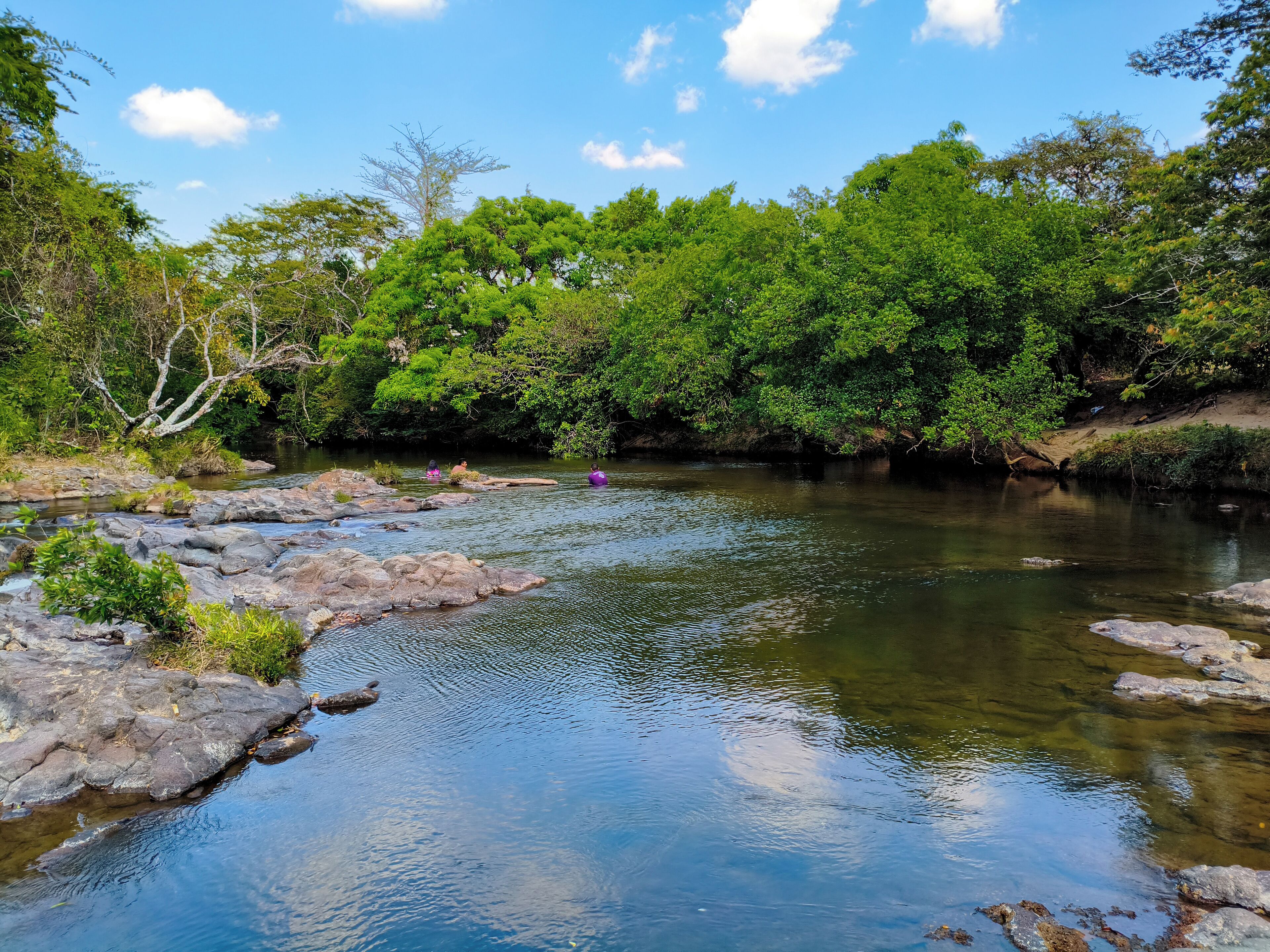 Un río de aguas cristalinas, rodeado de abundante vegetación verde y rocas.