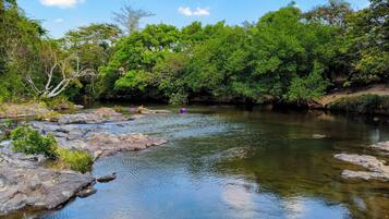 Un río de aguas cristalinas, rodeado de abundante vegetación verde y rocas.