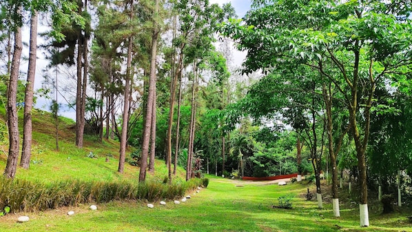 Family Shared Dormitory, Garden View, Ground Floor | Front of property