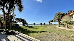 A grassy area with palm trees, a clear sky, and a body of water in the background. - LOCATION! LOCATION! LOCATION!  Best location in Orlando (Orlando)
