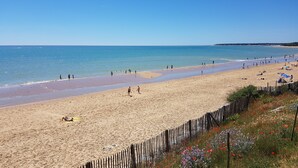Une plage de sable avec une clôture en bois et des fleurs au premier plan.