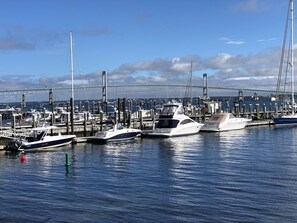 Marina - Island Apartment in the Heart of Jamestown (Jamestown)