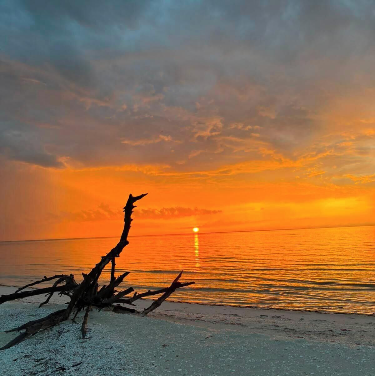 Photo - Boutique Hotel EL NIDO Holbox