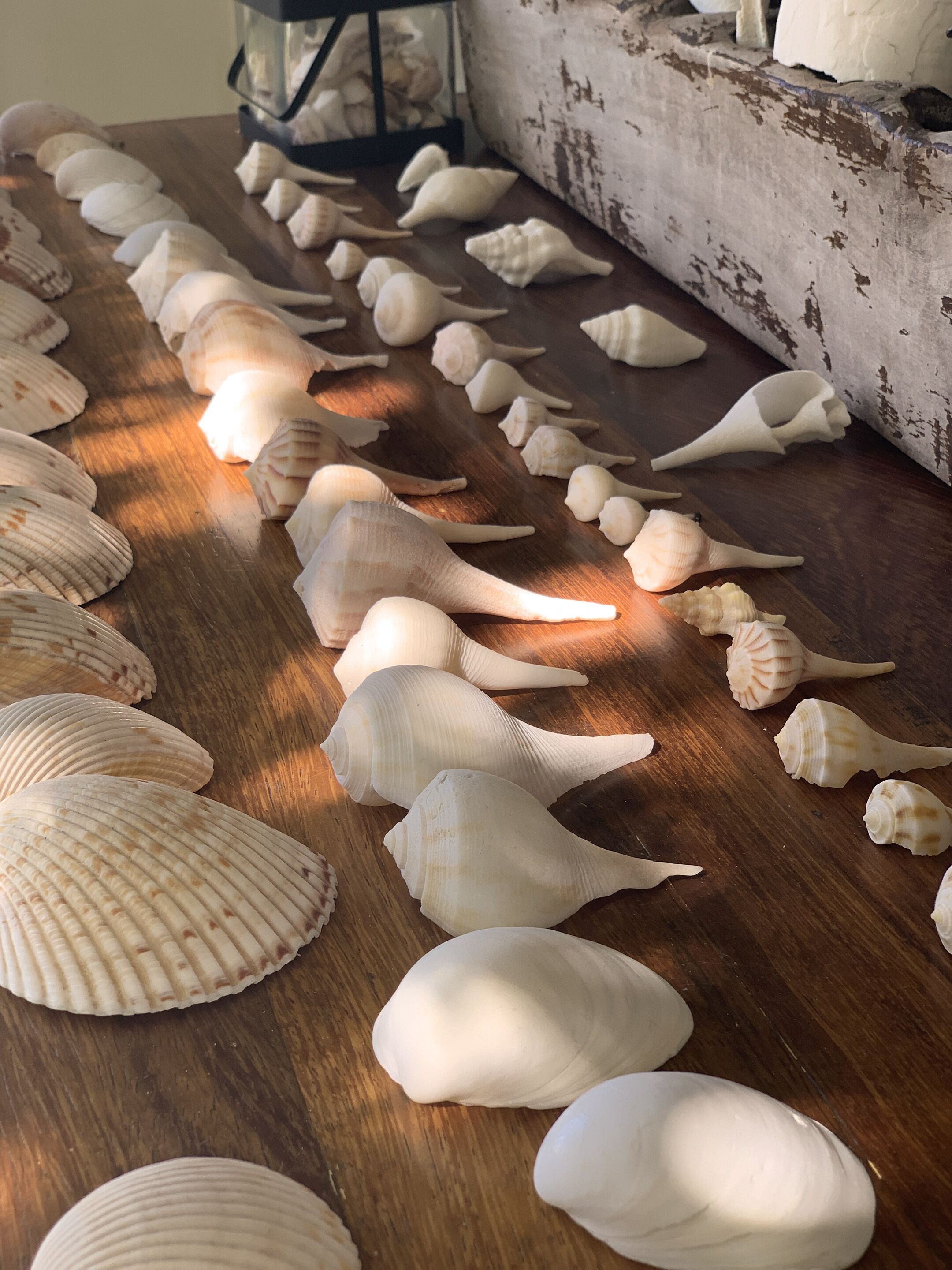 Photo - Boutique Hotel EL NIDO Holbox