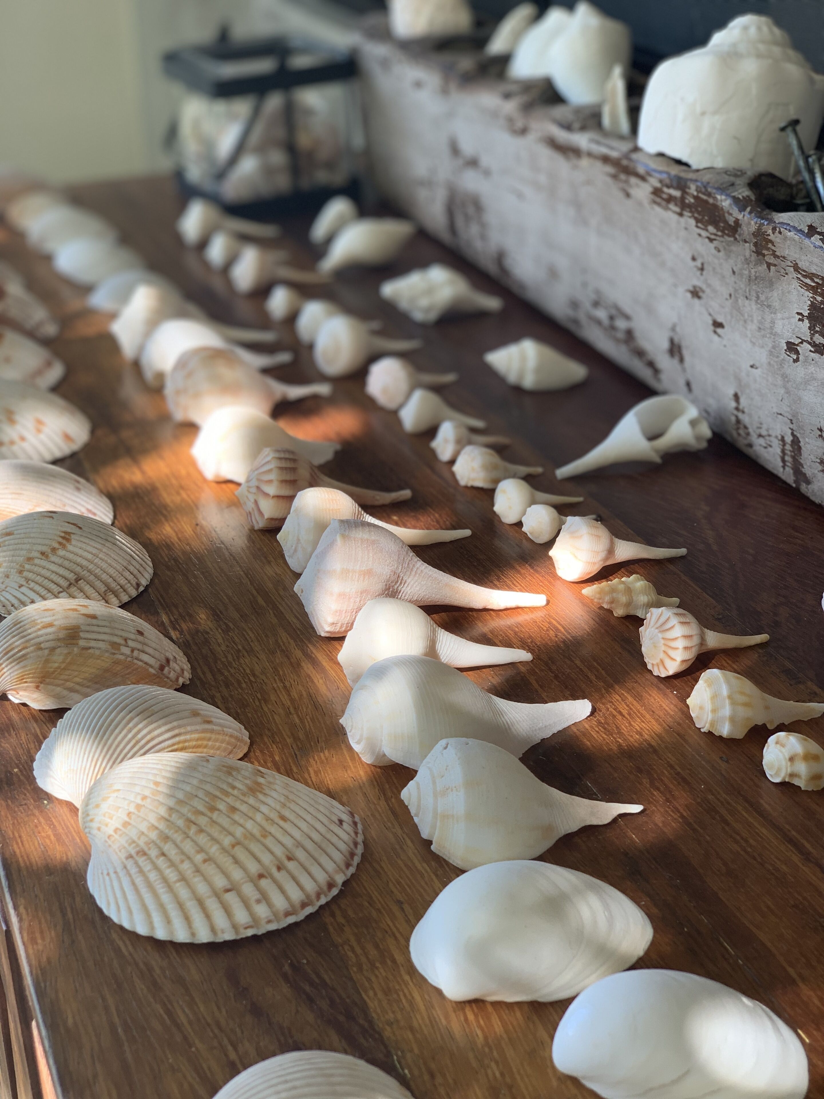 Photo - Boutique Hotel EL NIDO Holbox