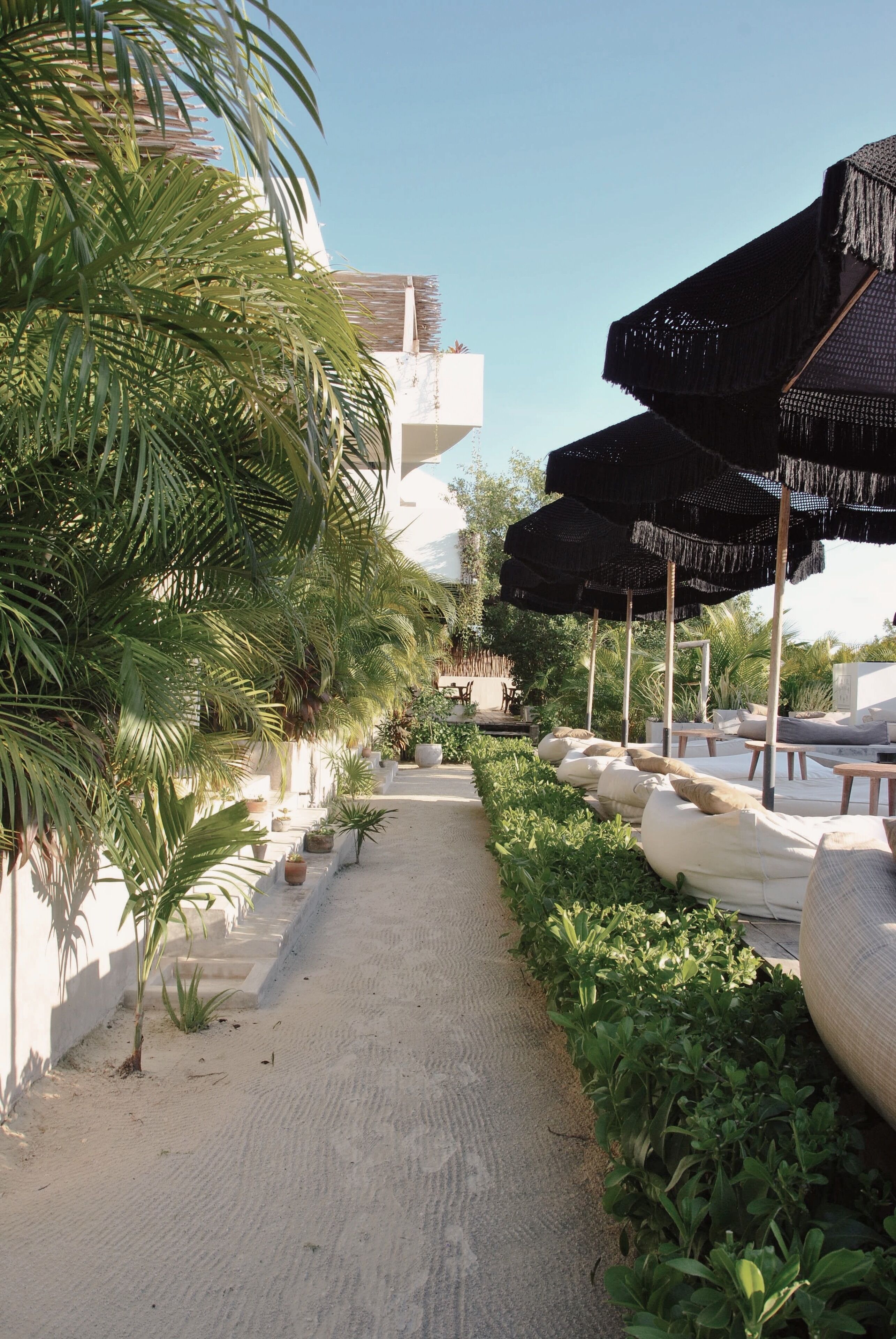 Photo - Boutique Hotel EL NIDO Holbox