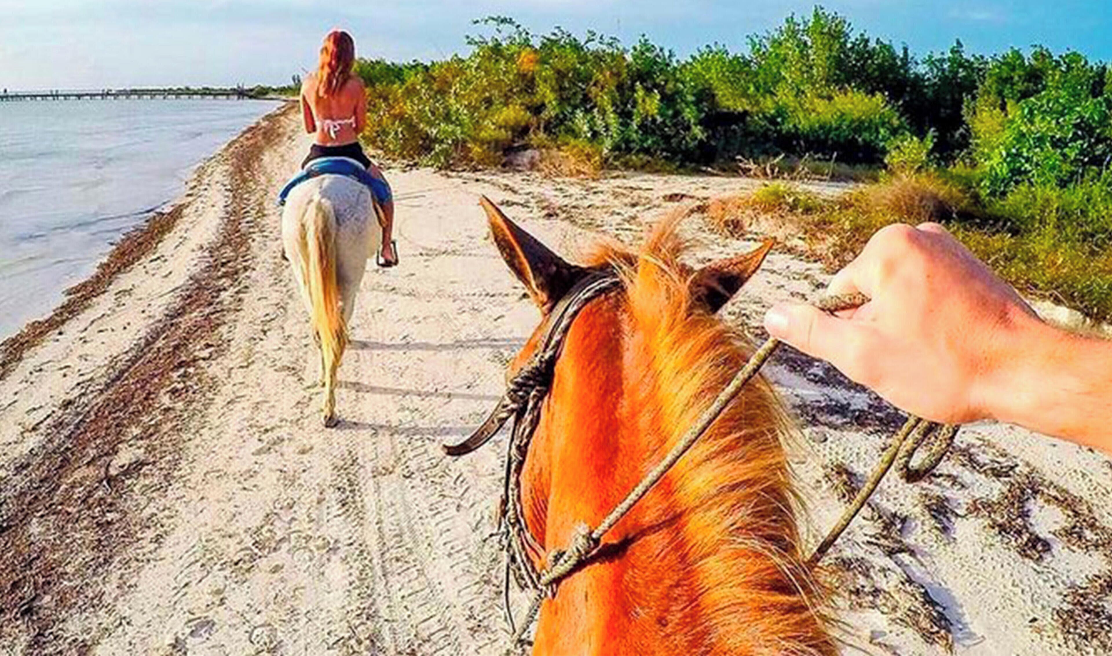 Photo - Boutique Hotel EL NIDO Holbox