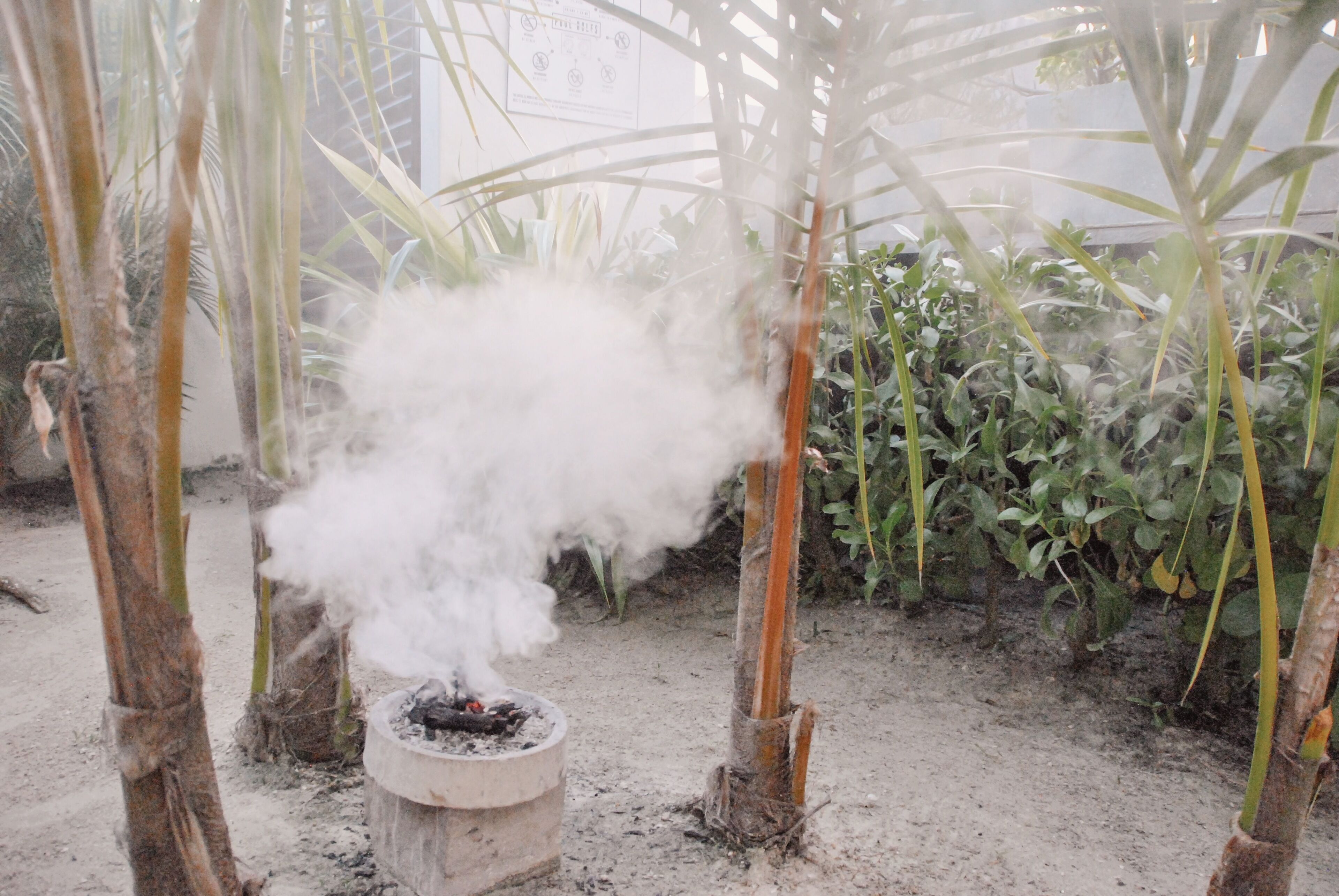 Photo - Boutique Hotel EL NIDO Holbox