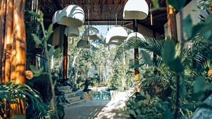 Un espacio al aire libre cubierto con techo de paja, luces colgantes tipo lámpara y abundante vegetación.