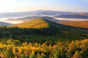 Un paisaje montañoso con bosques densos y colinas ondulantes.
