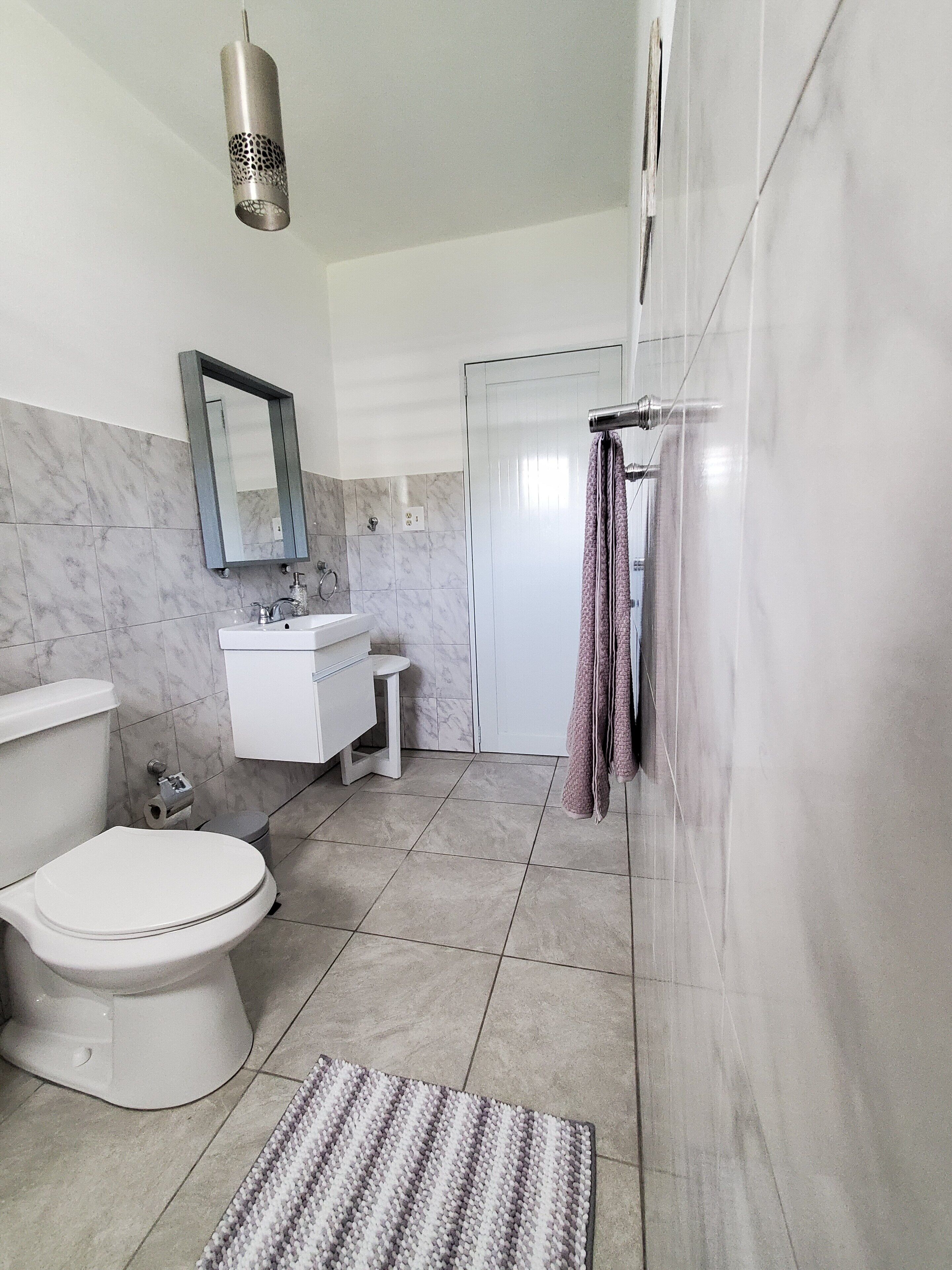 Baño con inodoro, lavabo, espejo, ducha y lámpara colgante.