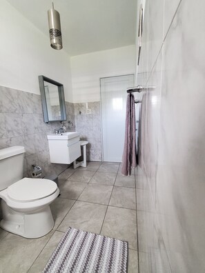 A bathroom with a toilet, sink, mirror, shower, and a hanging light fixture.