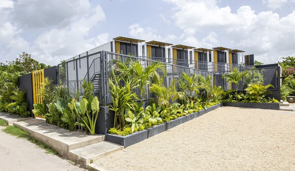 A modern building with solar panels, surrounded by lush tropical plants and a gravel pathway.