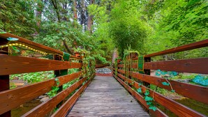 A wooden bridge with railings, surrounded by lush greenery and trees. - Flume's End (Nevada City)