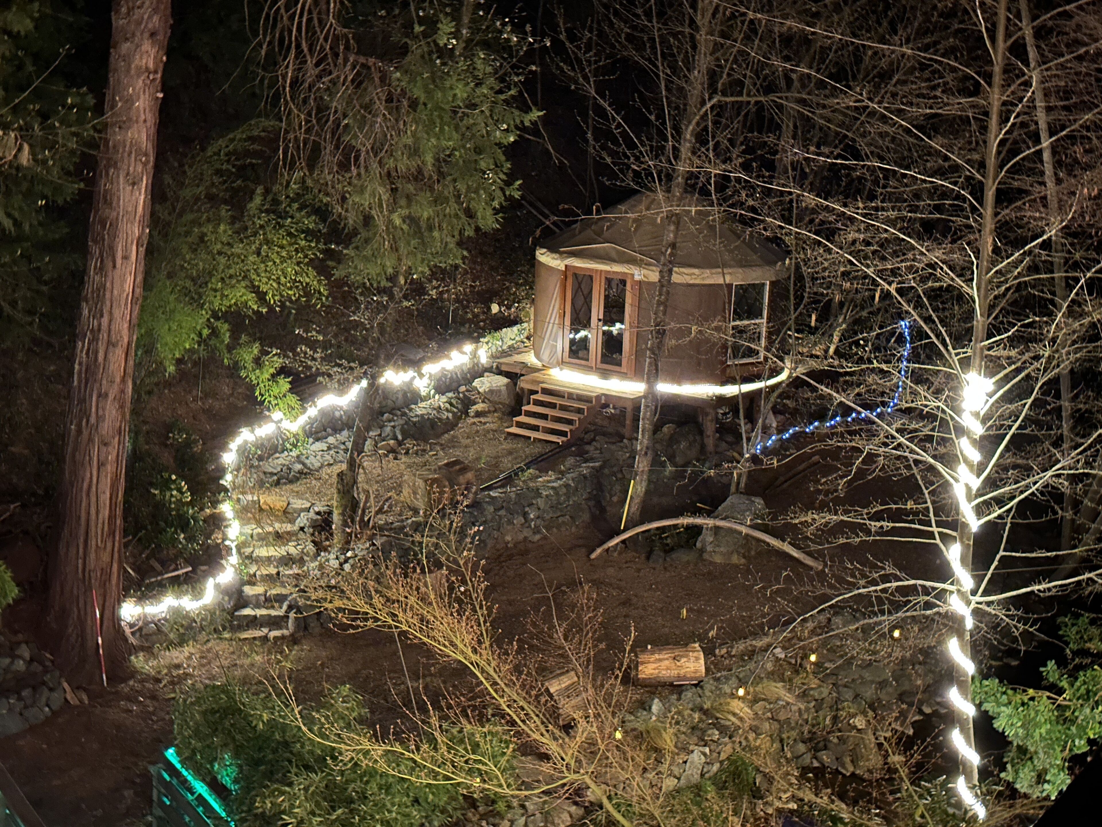 A secluded wooden cabin surrounded by trees, with a stone pathway leading to it.