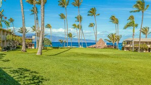 Ein Resort mit Rasenfläche, Palmen und Blick auf den Ozean.