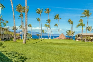 Property grounds - Ultra Modern/Coastal-Remodel, Oceanview, AC - Napili Shores G154 (Lahaina)