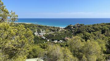 A coastal village with dense greenery and a view of the sea.
