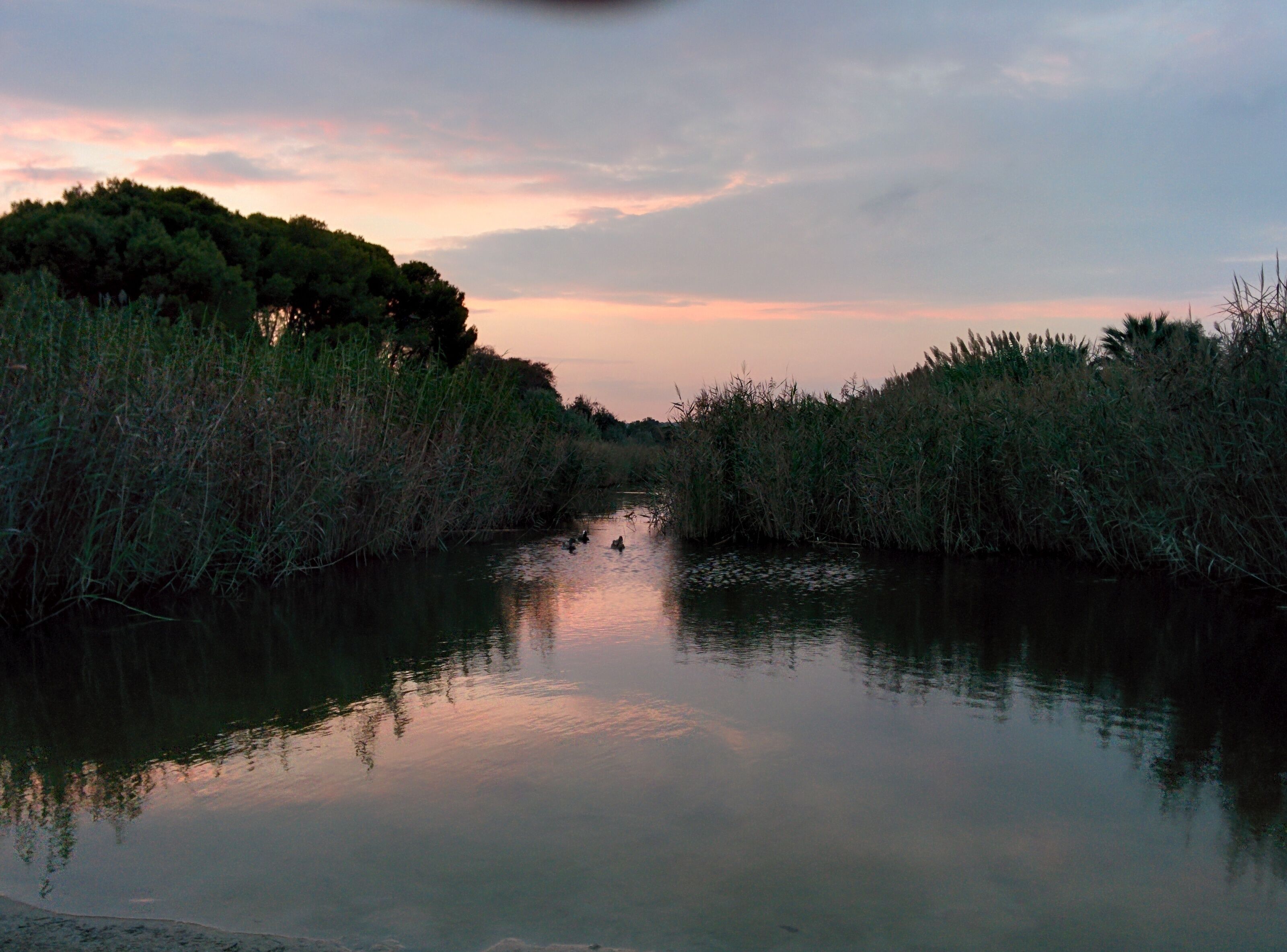 Photo - Mediterrani Natura Spa Resort