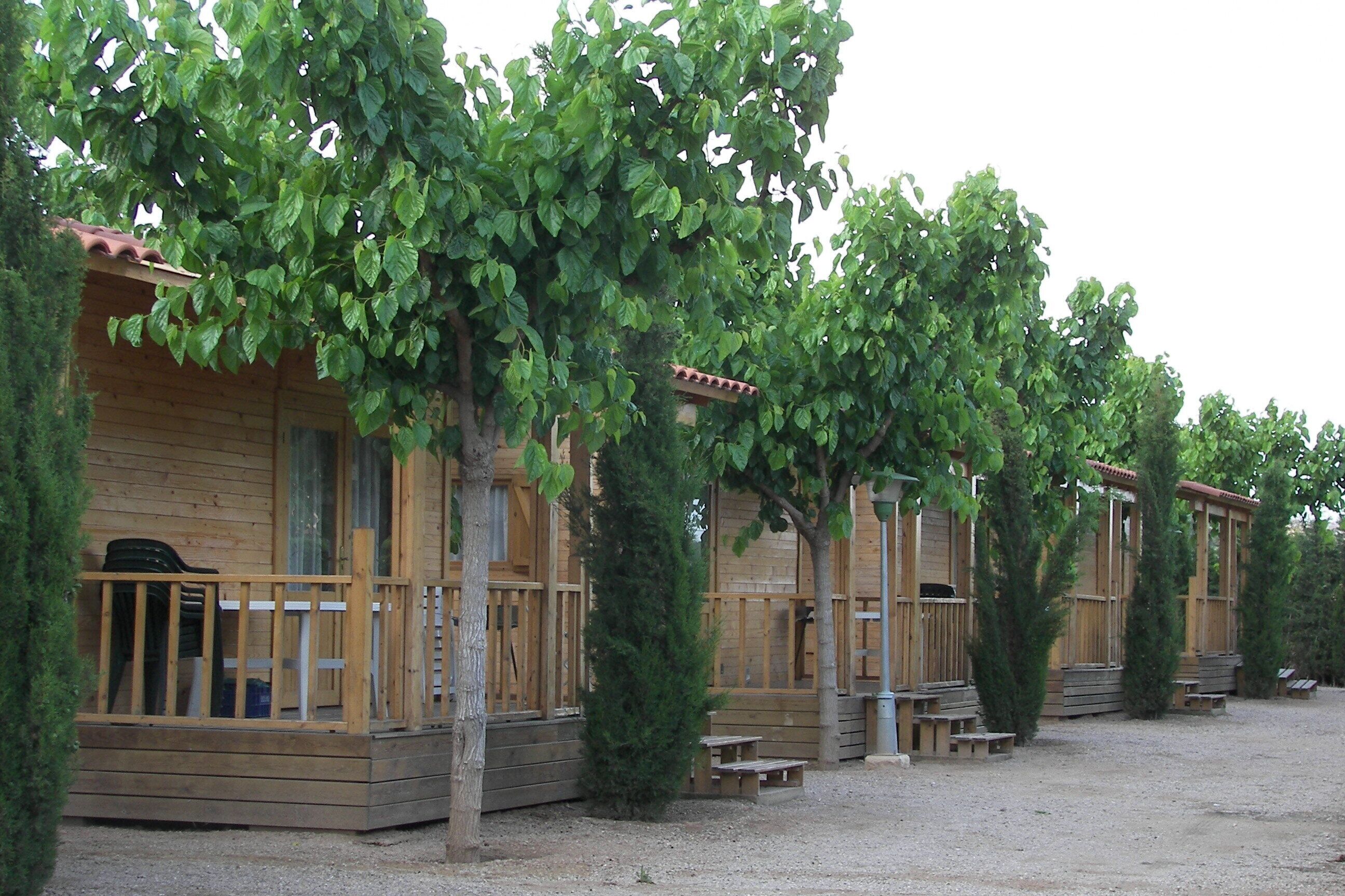 Comfort bungalow | Terras