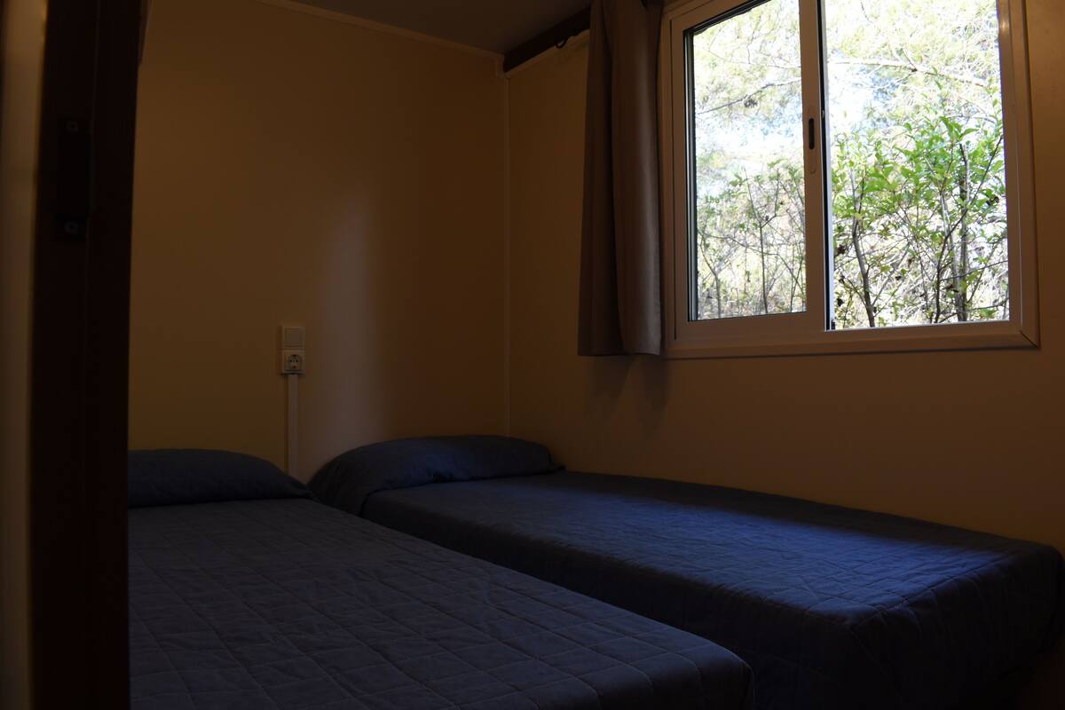 Ein Zimmer mit zwei Betten, einem fensterbelaubten Fenster und einer Steckdose an der Wand.